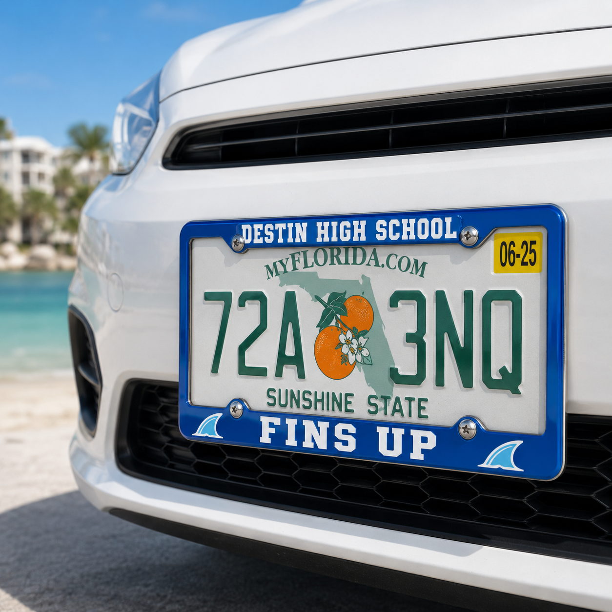 DHSnLicense Plate Frame