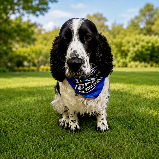 DHS Doggy Bandana