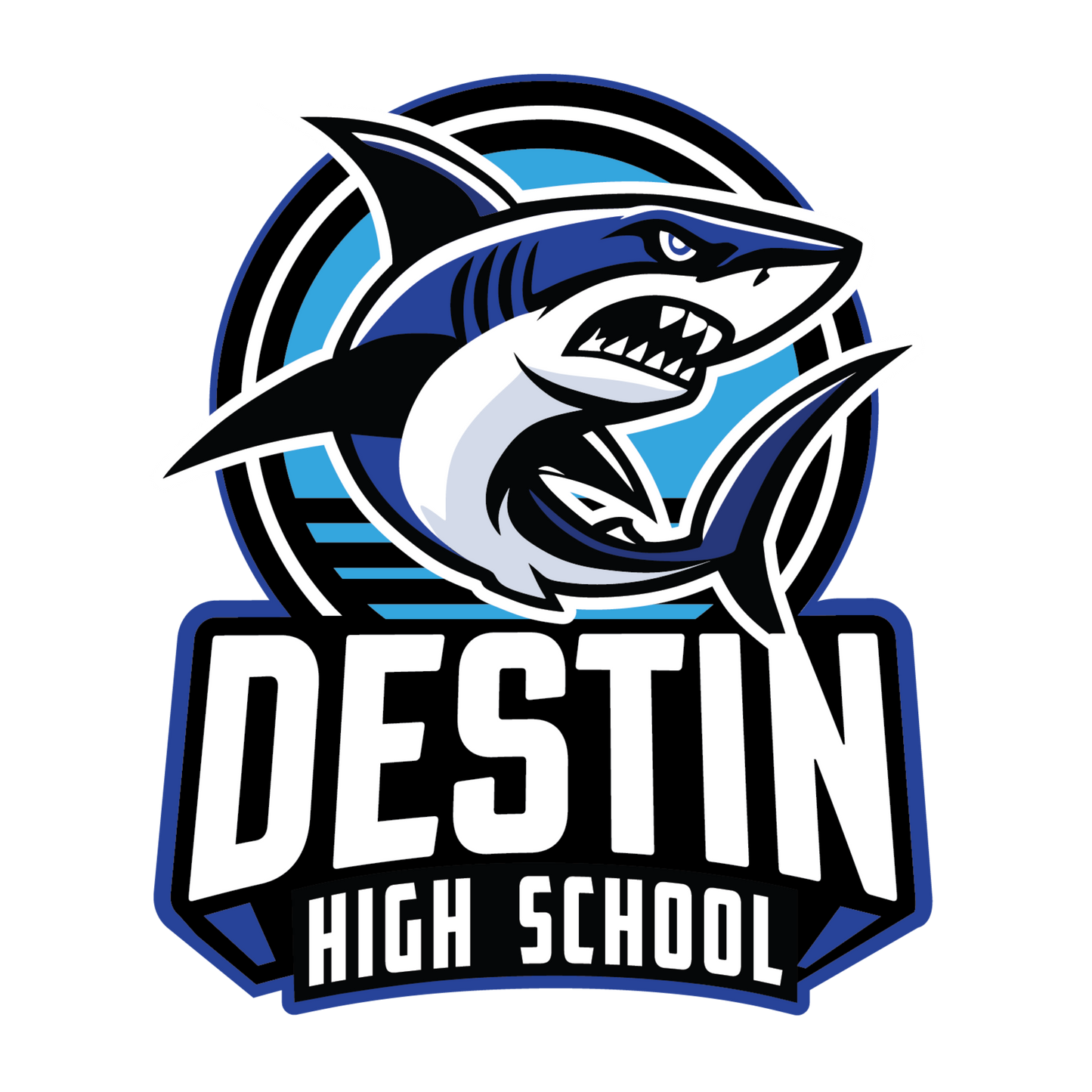 DHS Logo Patch